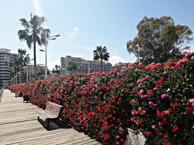 valencia ponte flores