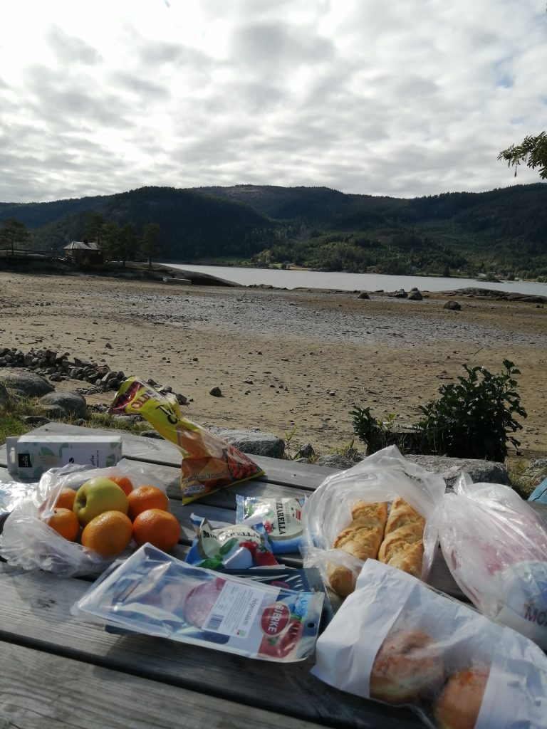Treći dan nakon hikinga napravili smo piknik u kampu Neset uz Byglandsfjorden fjord