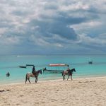 kendwa zanzibar jahanje konja na plaži