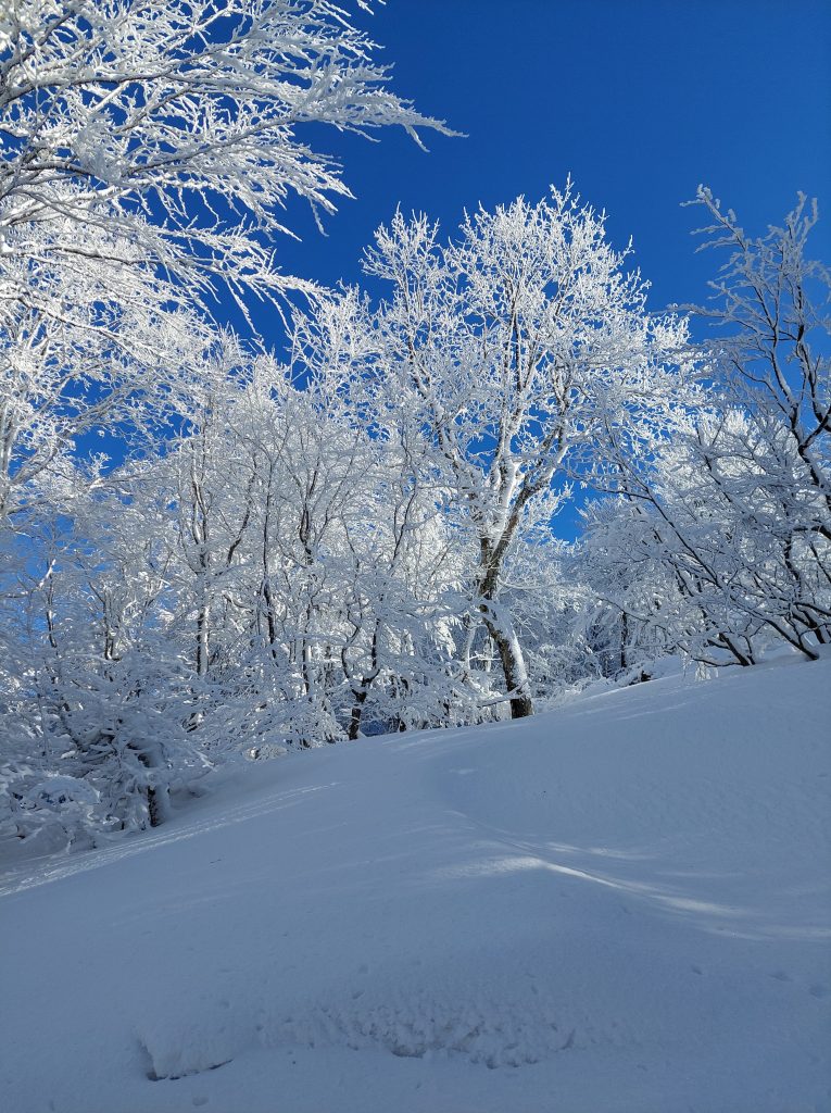 snijeg u hrvatskoj gorski kotar vrh bjelolasica