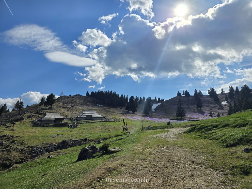 velika planina slovenija travelina