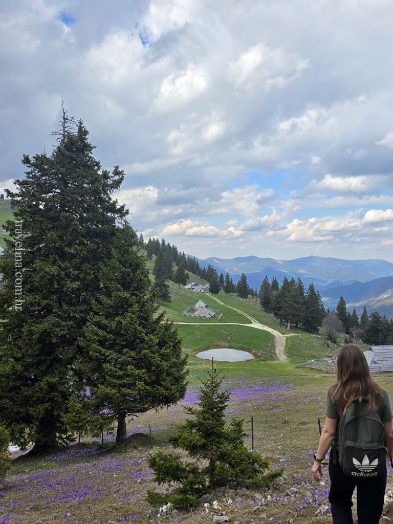 velika planina slovenija travelina