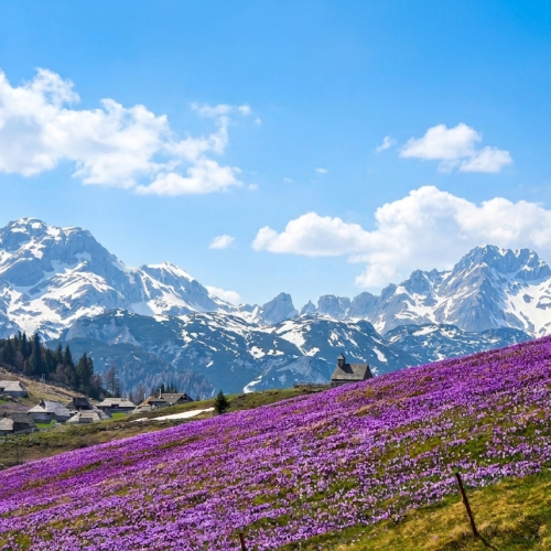 travelina velika planina naslovna