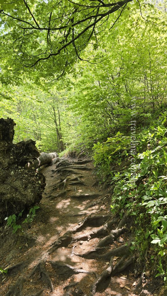Put prema vidikovcu bled