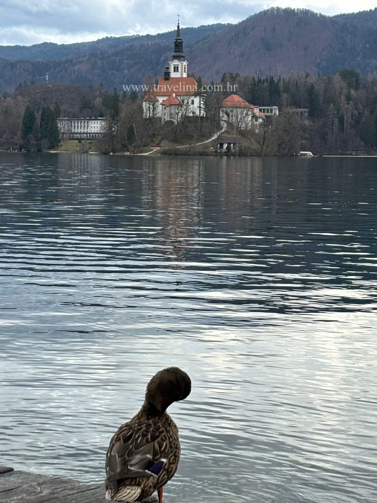 Šetnja oko jezera bled